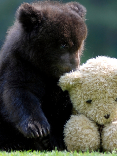 медвежонок, с плюшевым, медведем