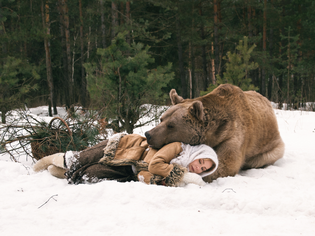 медведь, лес, девушка