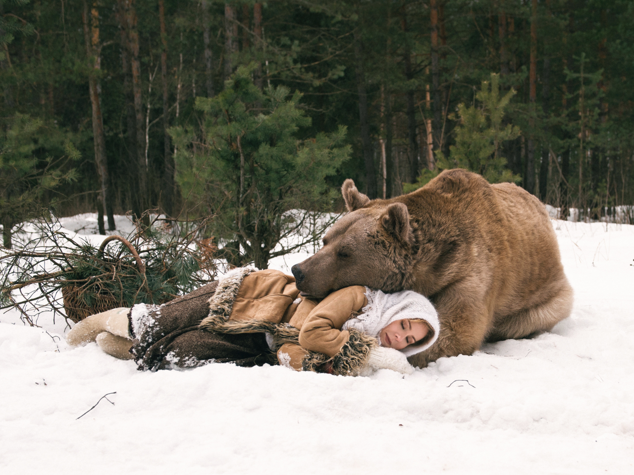 медведь, лес, девушка