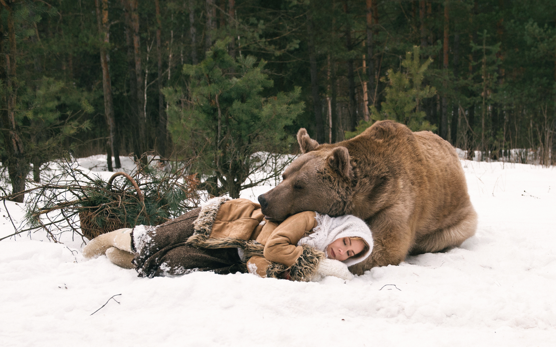 медведь, лес, девушка