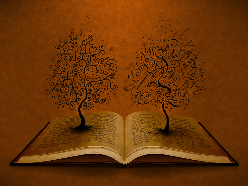 открытая, книга, деревья