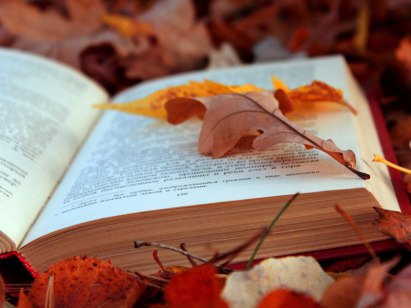книга, листья, осень