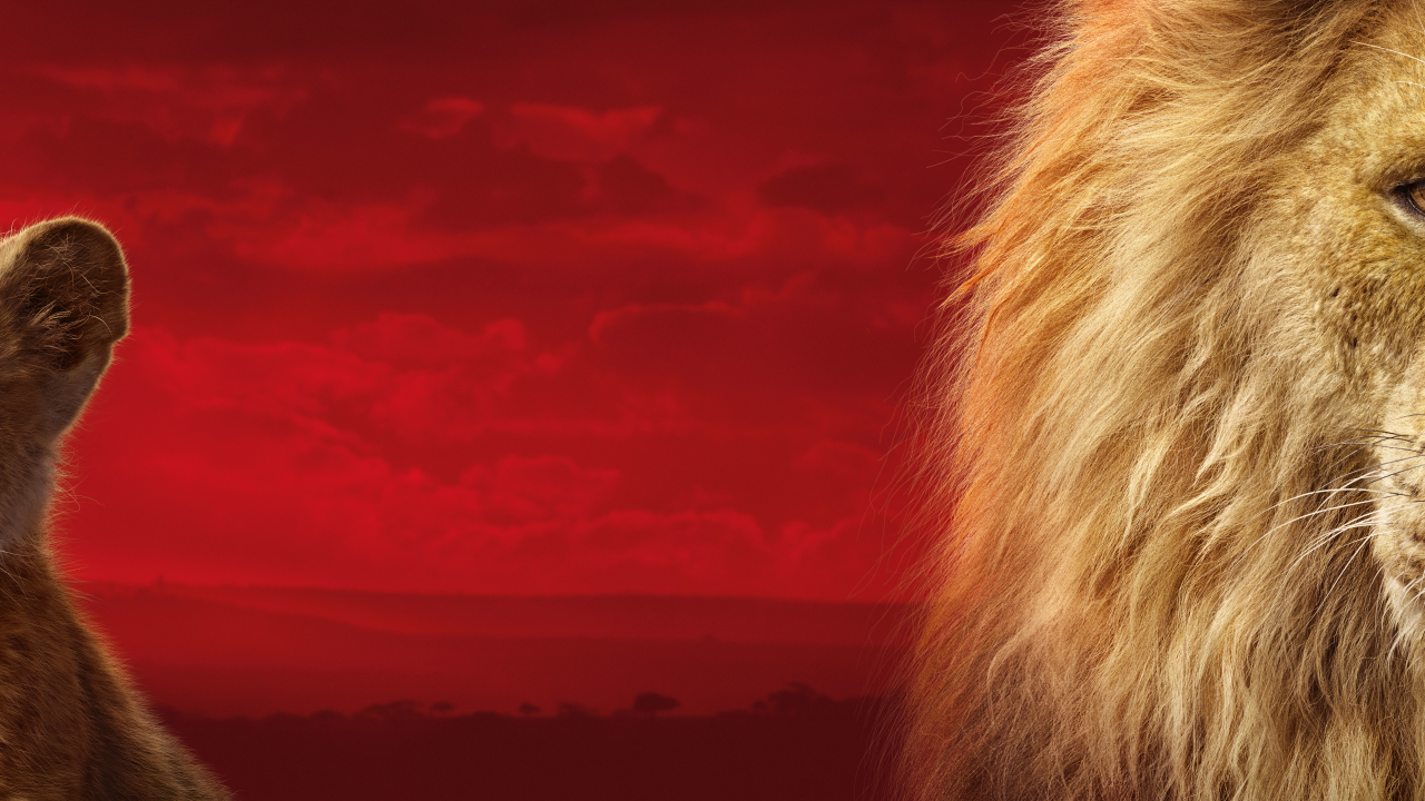 король лев, the lion king, 2019, симба, лев, взгляд, двое, львенок, детеныш, морда, голова, грива