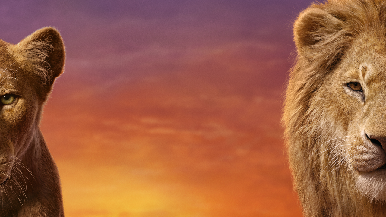 король лев, the lion king, 2019, симба, нала, лев, львица, взгляд, двое, морда, голова, грива