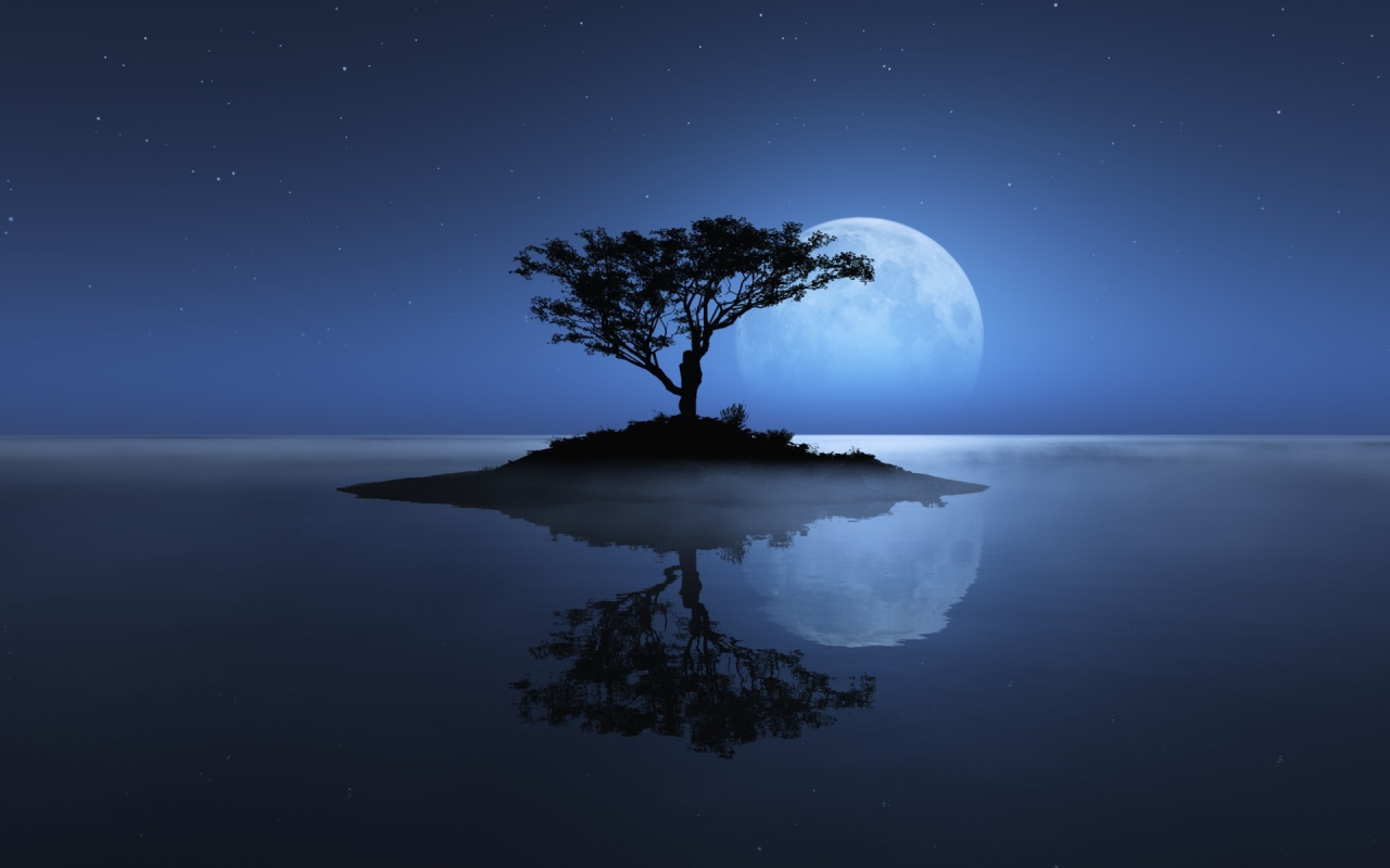 озеро, остров, дерево, ночь, луна