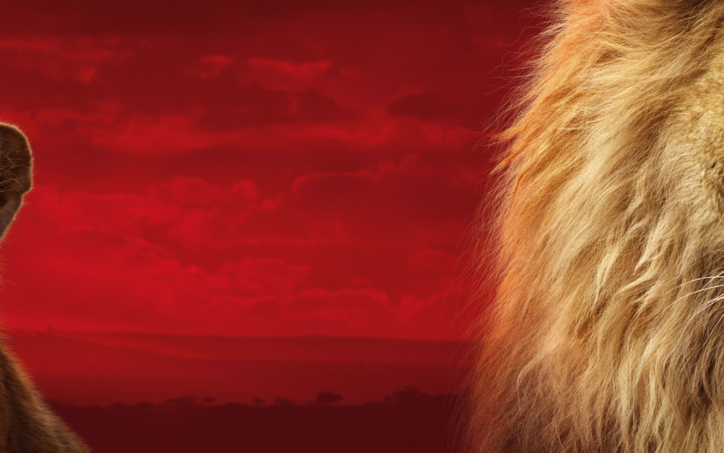король лев, the lion king, 2019, симба, лев, взгляд, двое, львенок, детеныш, морда, голова, грива