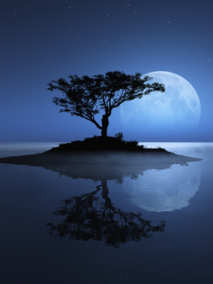 озеро, остров, дерево, ночь, луна