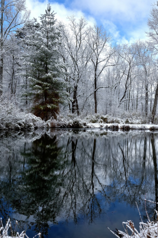 озеро, деревья, снег, зима