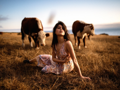 девушка, позирует, в поле, с коровами