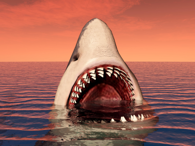 акула, хищница, опасность, пасть, зубы, вода
