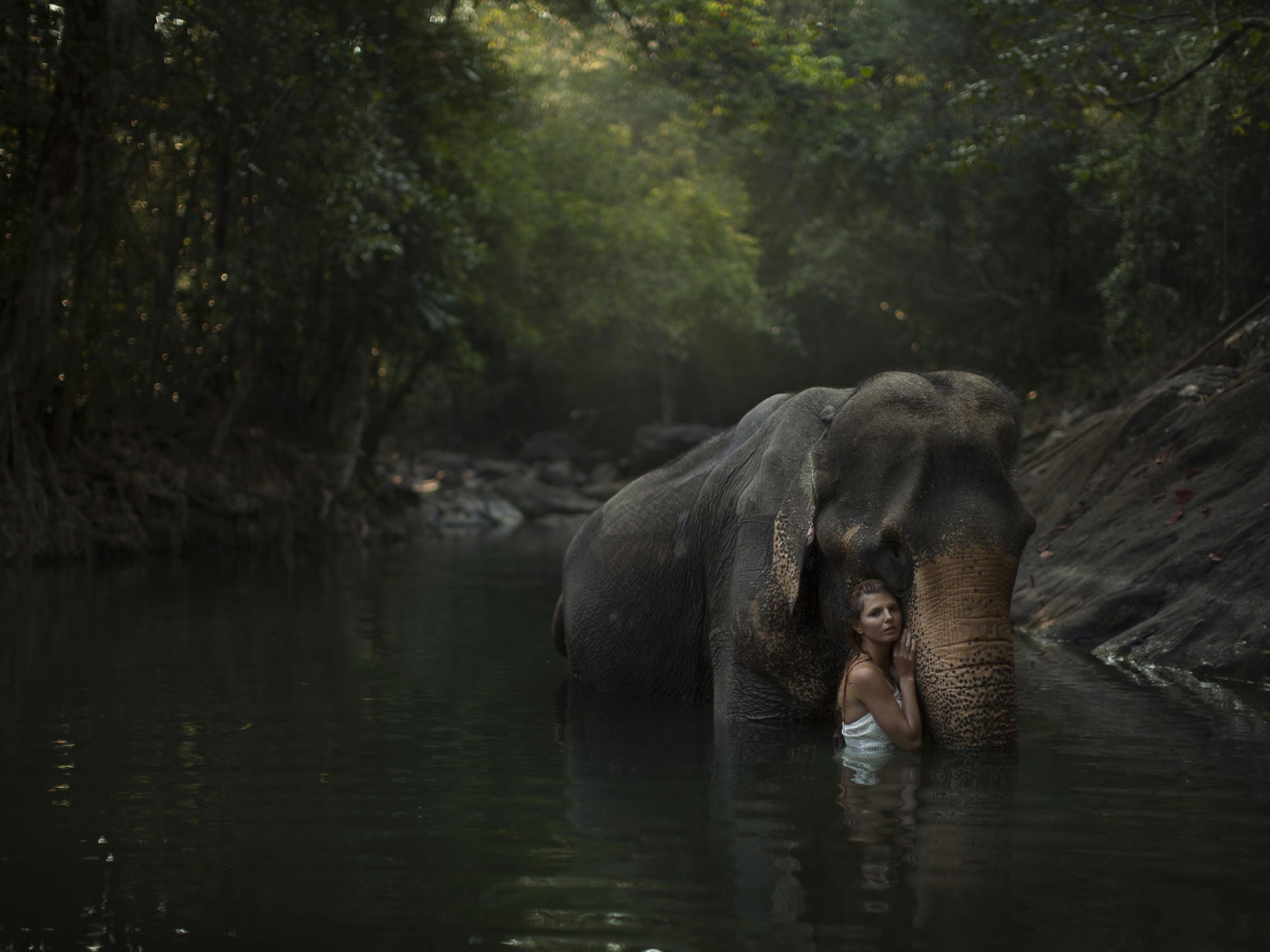 слон, девушка, вода