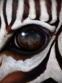 арт, зебра, глаз, отражение, взгляд, полоски, леопард, хищник, опасность