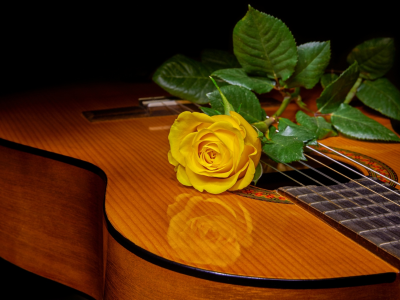гитара, роза