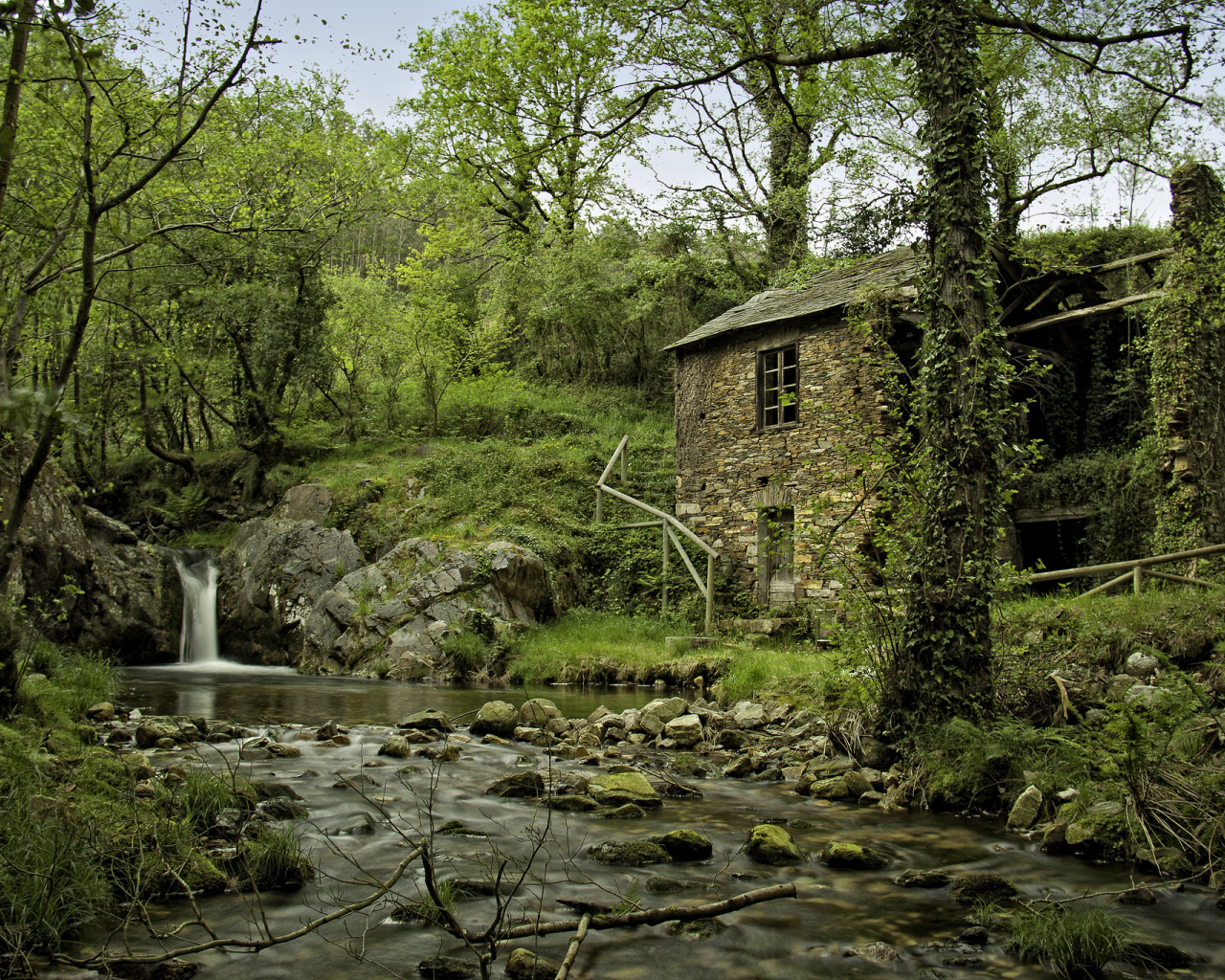 лес, река, испания