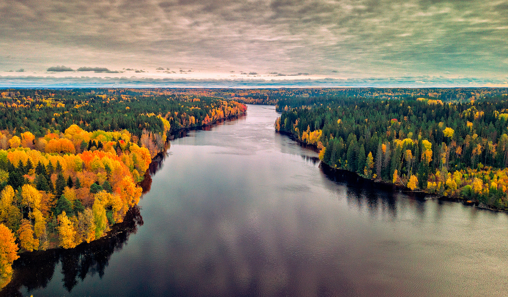 пейзаж, осень, лес, река