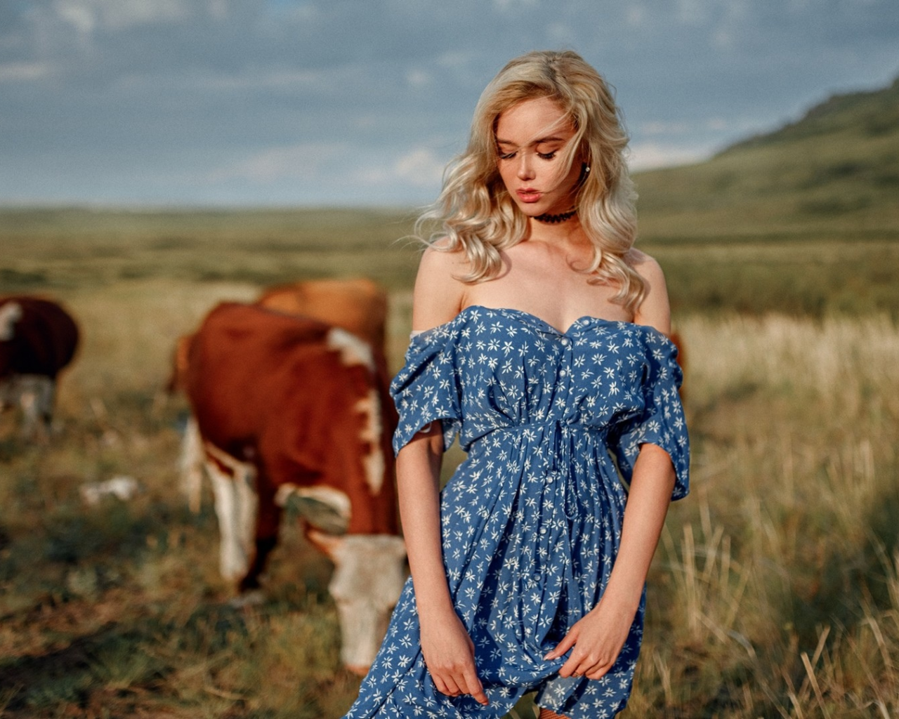 девушка, блондинка, поле, коровы