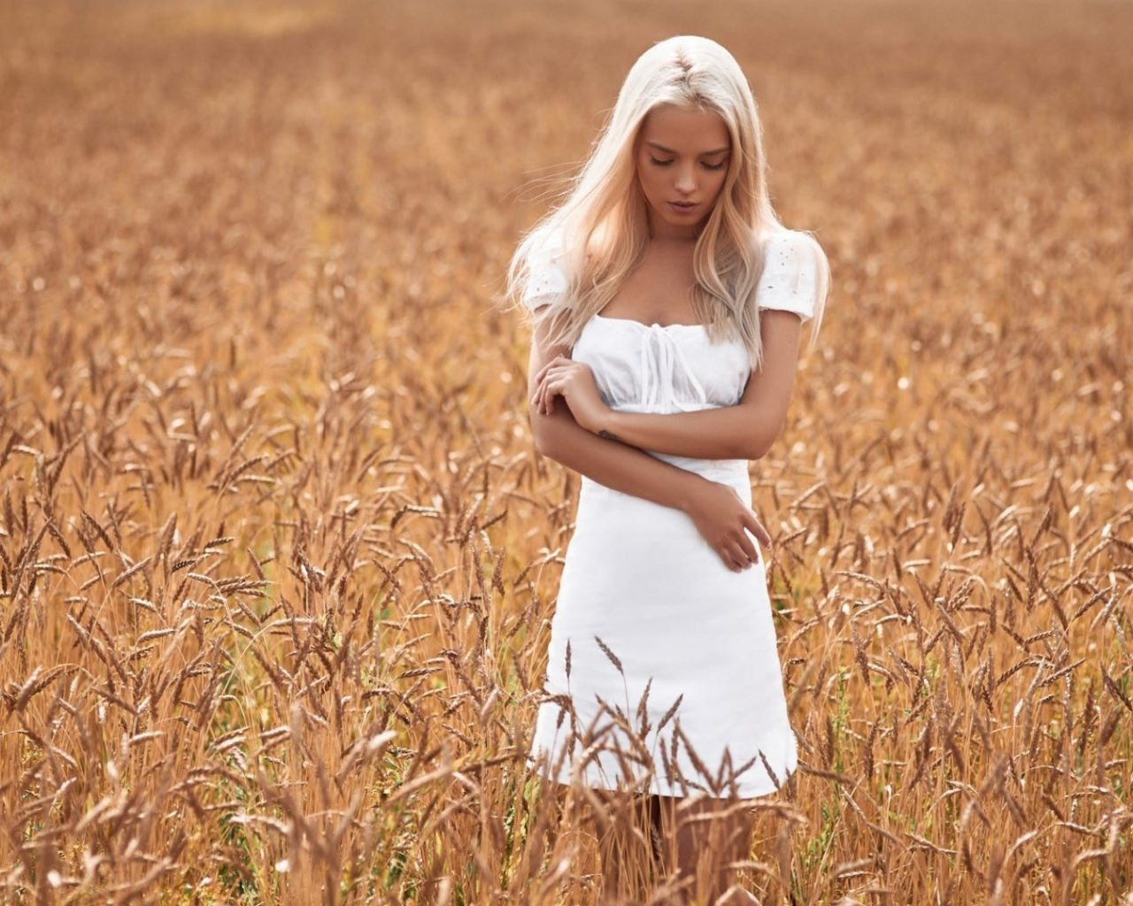 девушка, блондинка, поле, пшеница