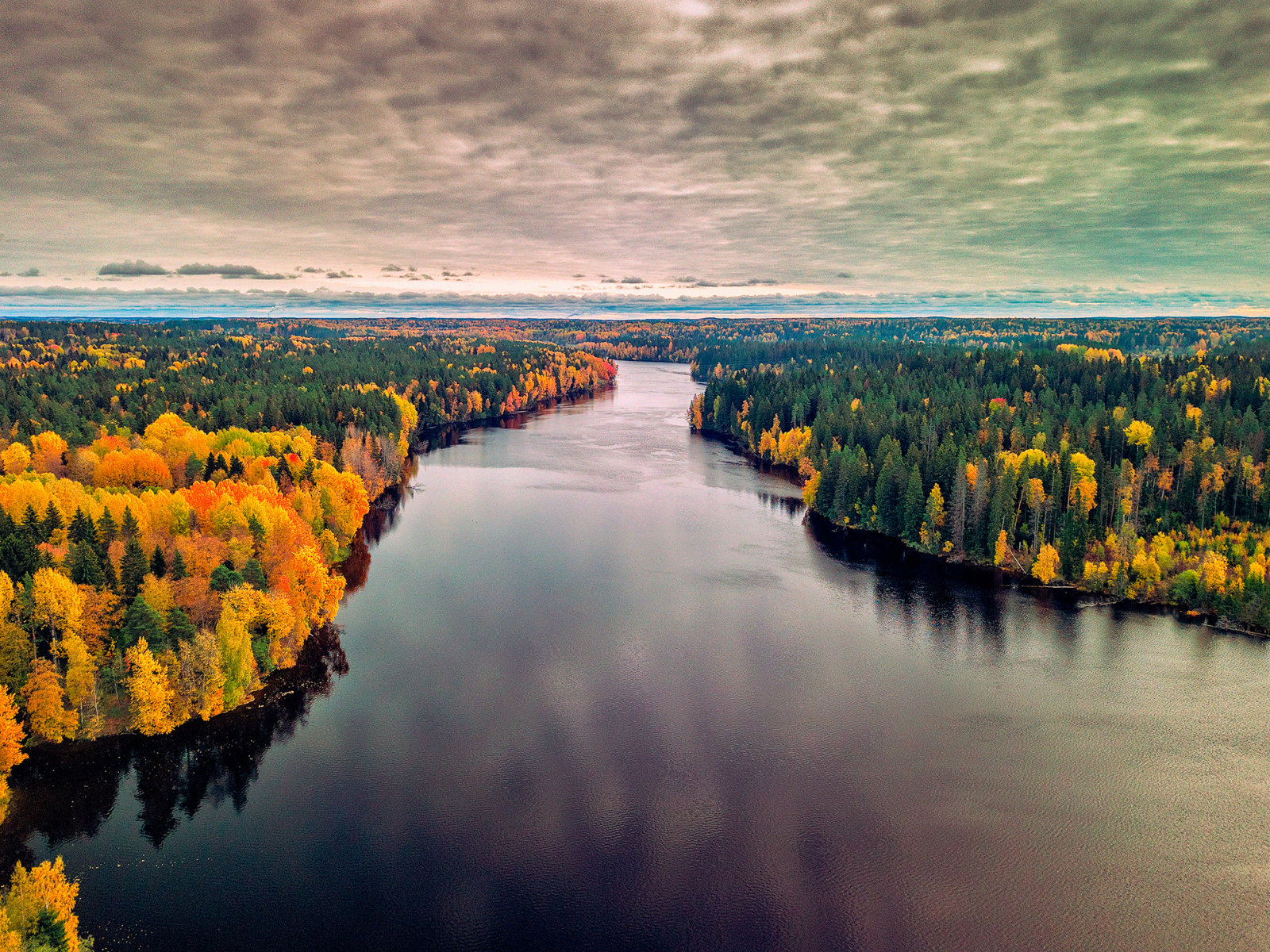 пейзаж, осень, лес, река