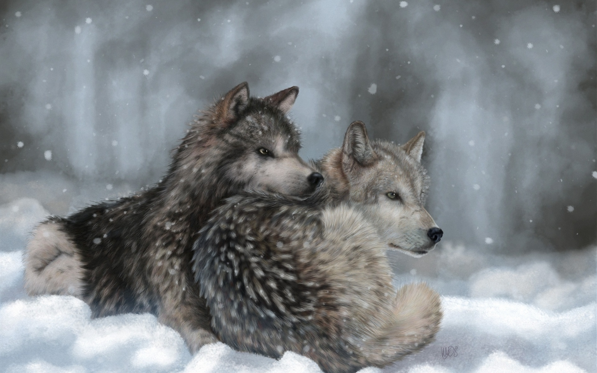 волки, зима, снег
