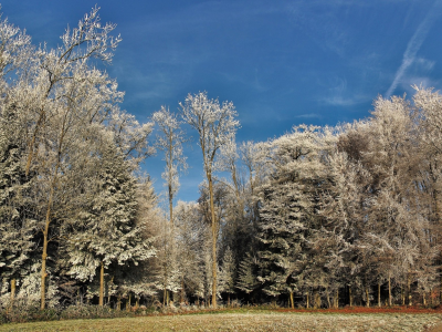 пейзаж, природа, красота