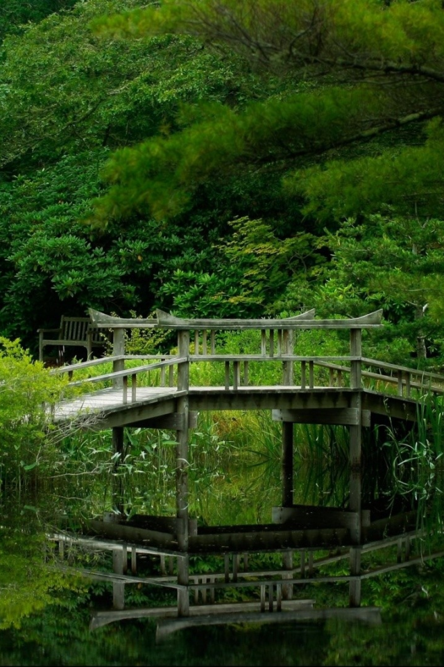 озеро, мостик, трава, деревья
