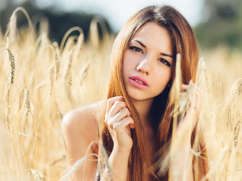 девушка, взгляд, длинные волосы, поле, пшеница, delaia gonzalez