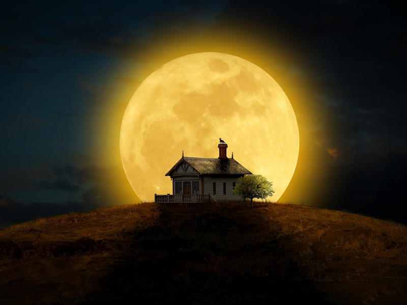 дом, ночь, луна, кошка