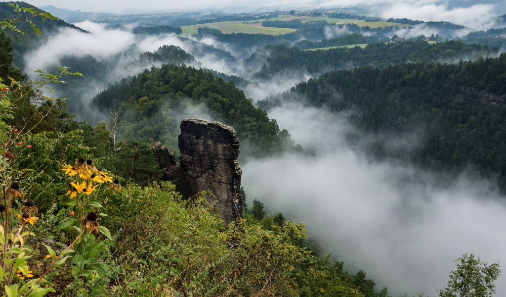 пейзаж, природа, красота