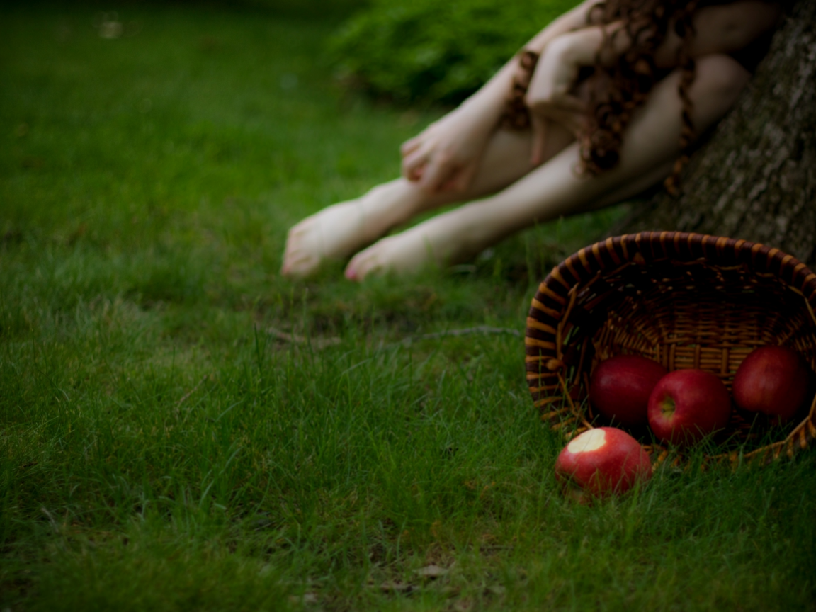 девушка, корзина, яблоки, трава