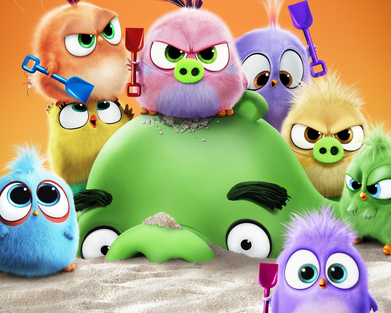 the angry birds movie 2, свинка, птички, птенцы, песок