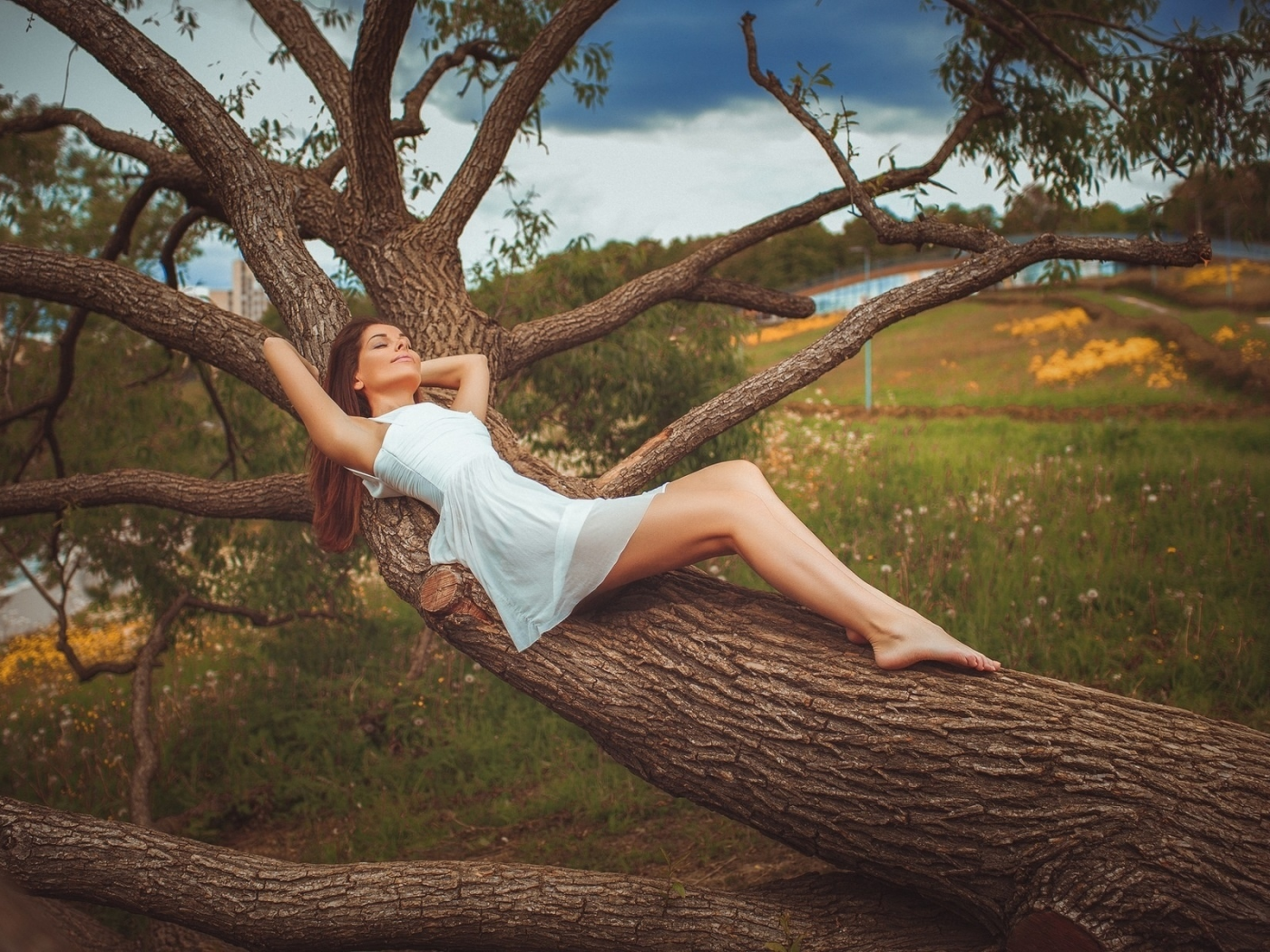 девушка, красивая, лежит на дереве