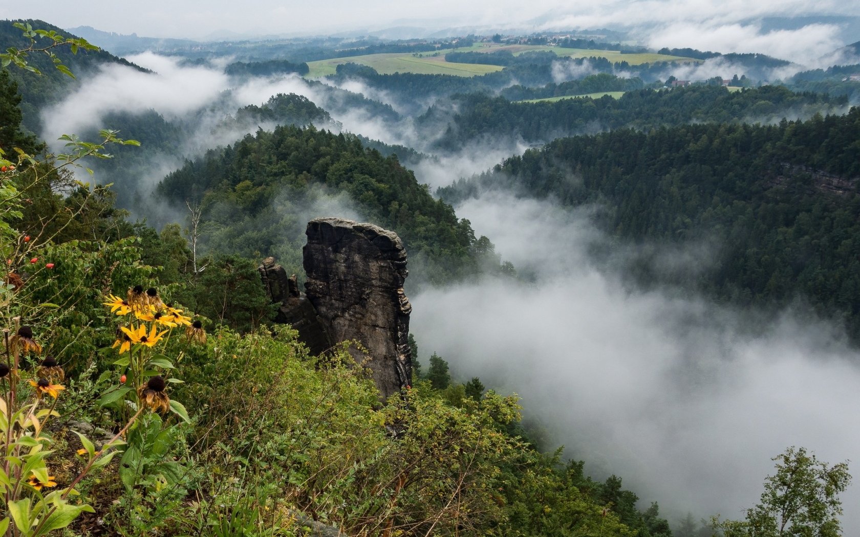 пейзаж, природа, красота