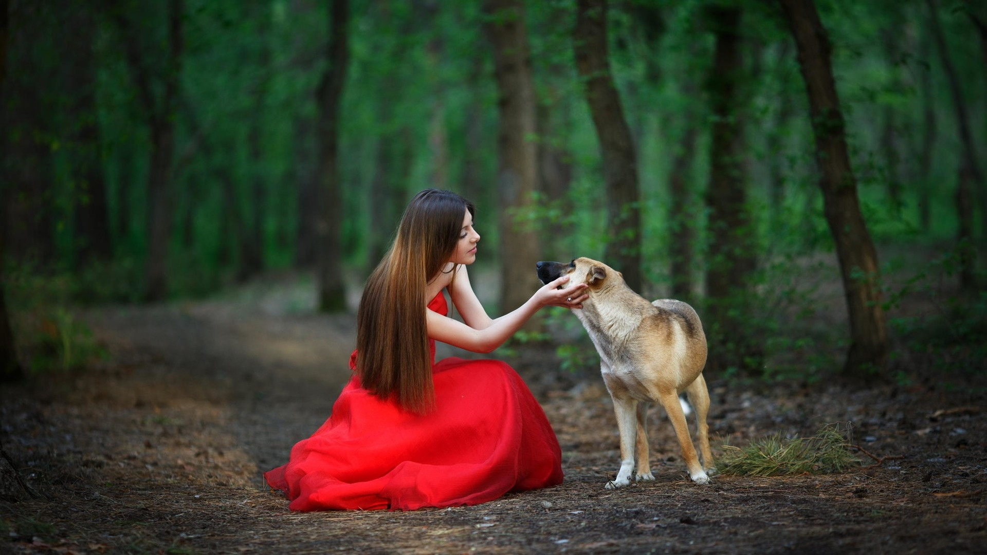 девушка, длинные волосы, красное платье, собака, парк