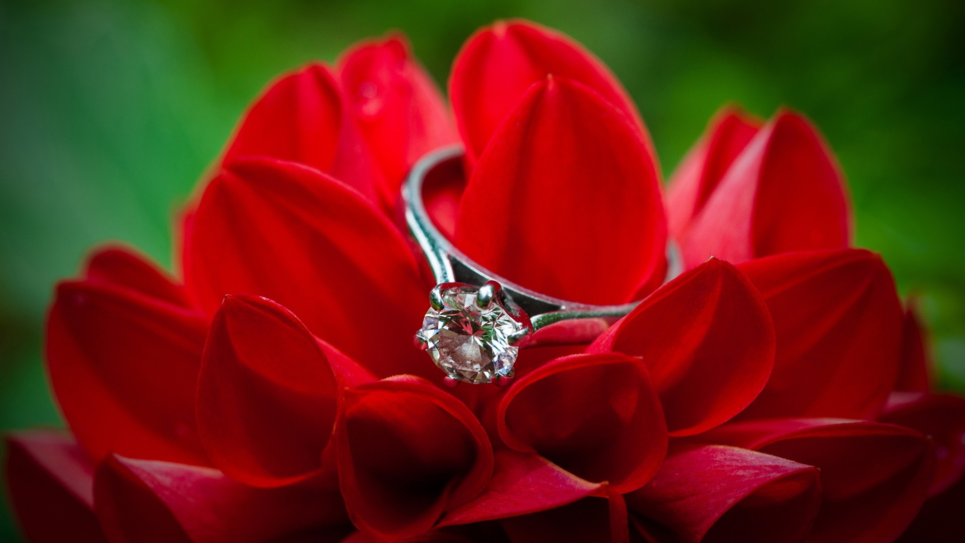 цветы, кольцо