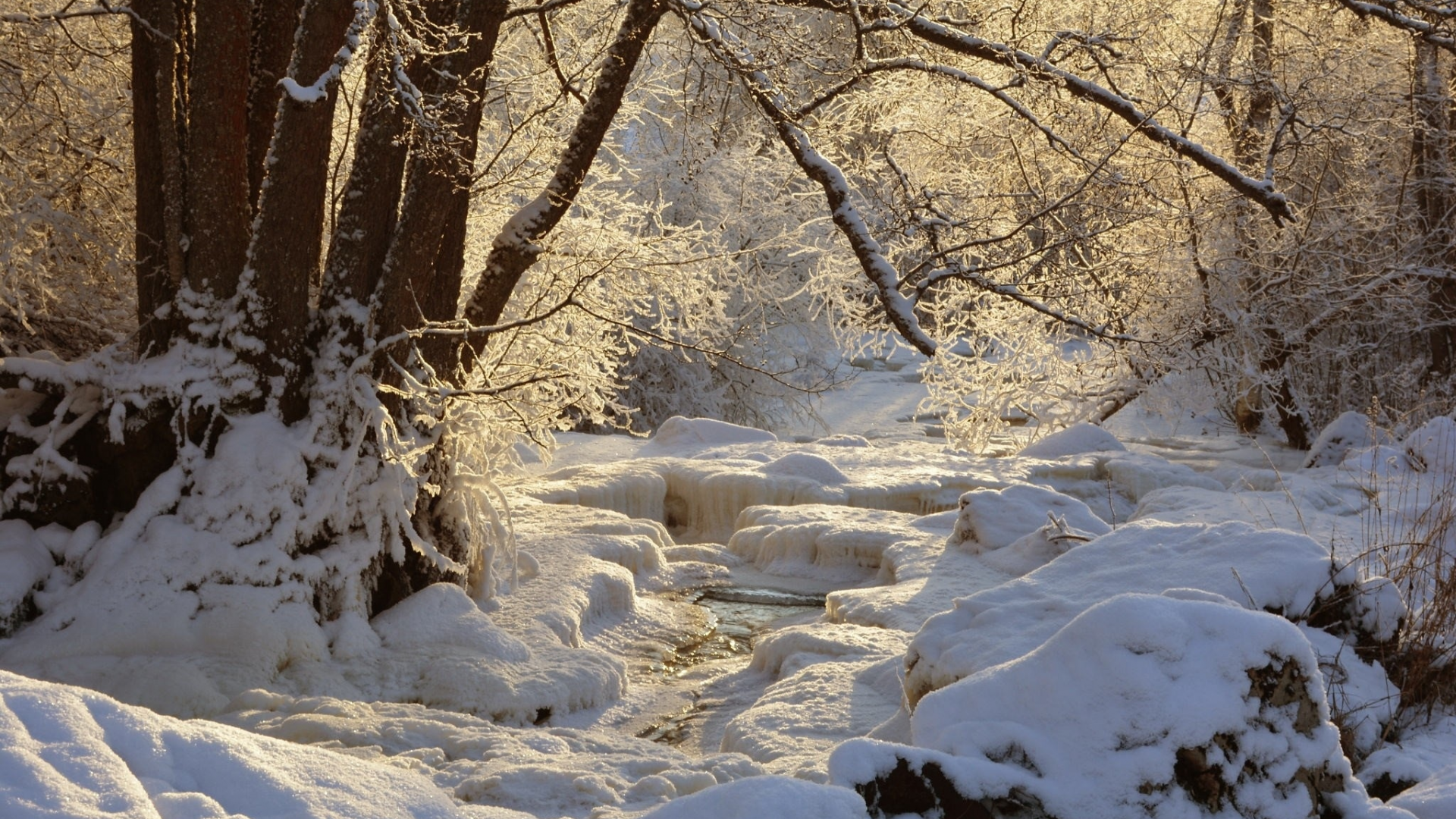 пейзаж, природа, красота