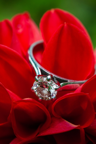 цветы, кольцо