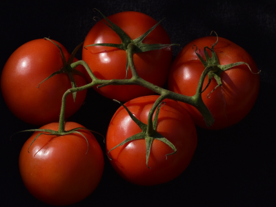 помидоры, красные, чёрный фон