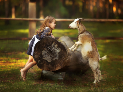 девочка, коза, природа, дети, животные