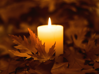 свеча, листья