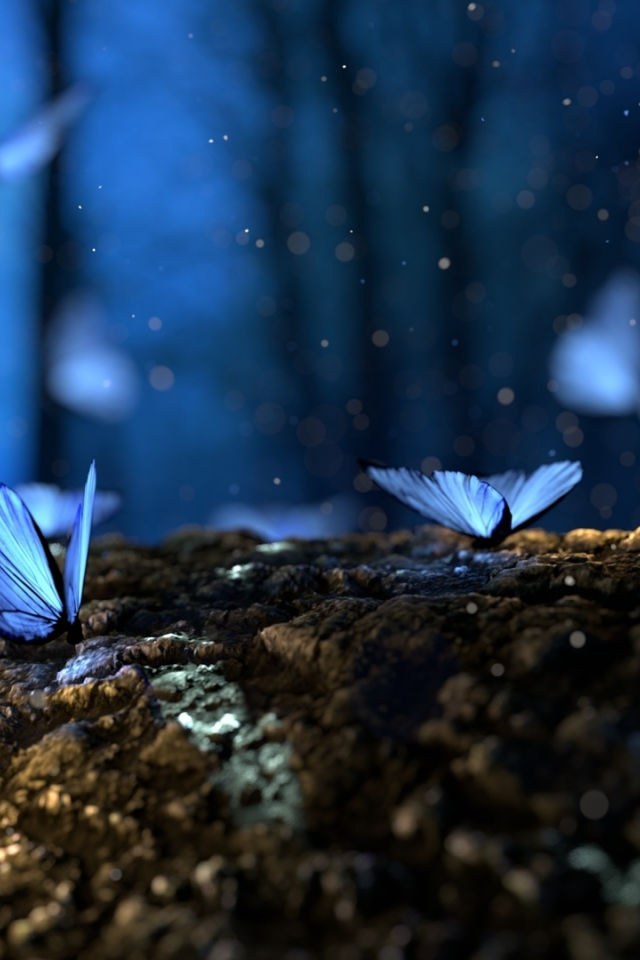 digital art, ночь, лес, грибы, бабочки