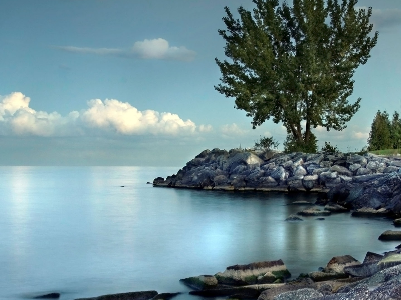 берег, море, камни, дерево