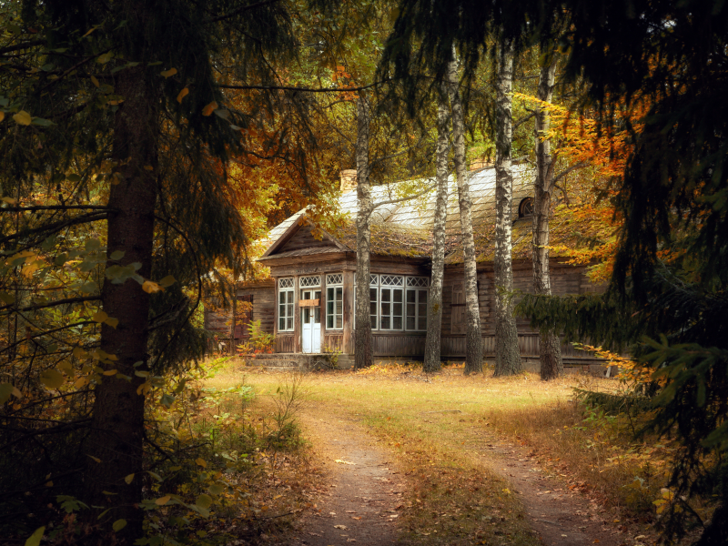 лес, дом, осень