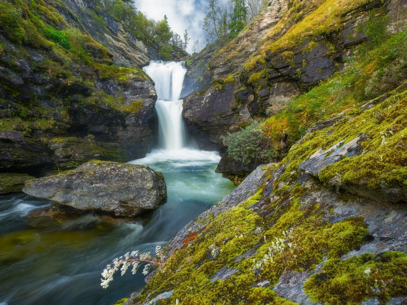 река, водопад