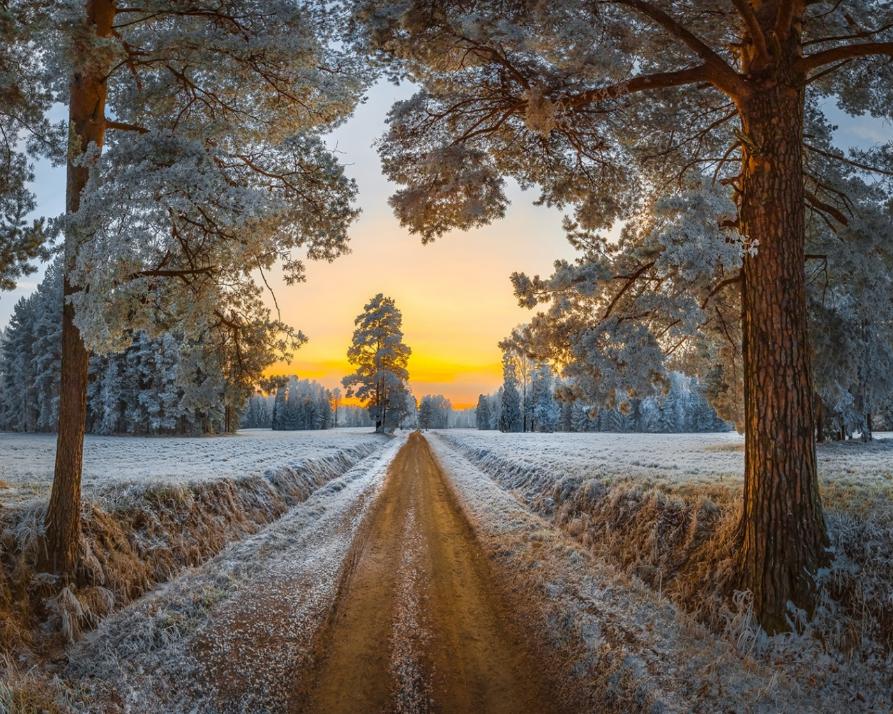 павловск, дорога