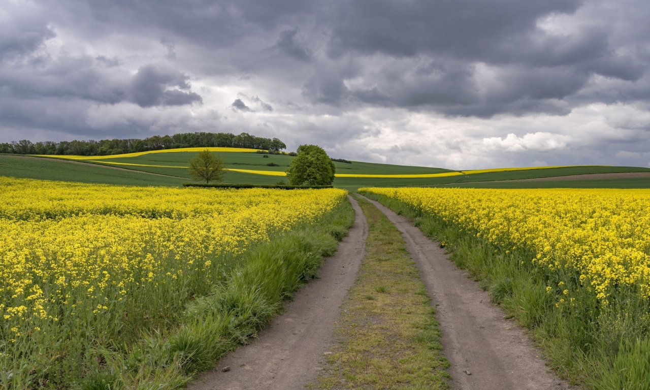 пейзаж, природа, красота