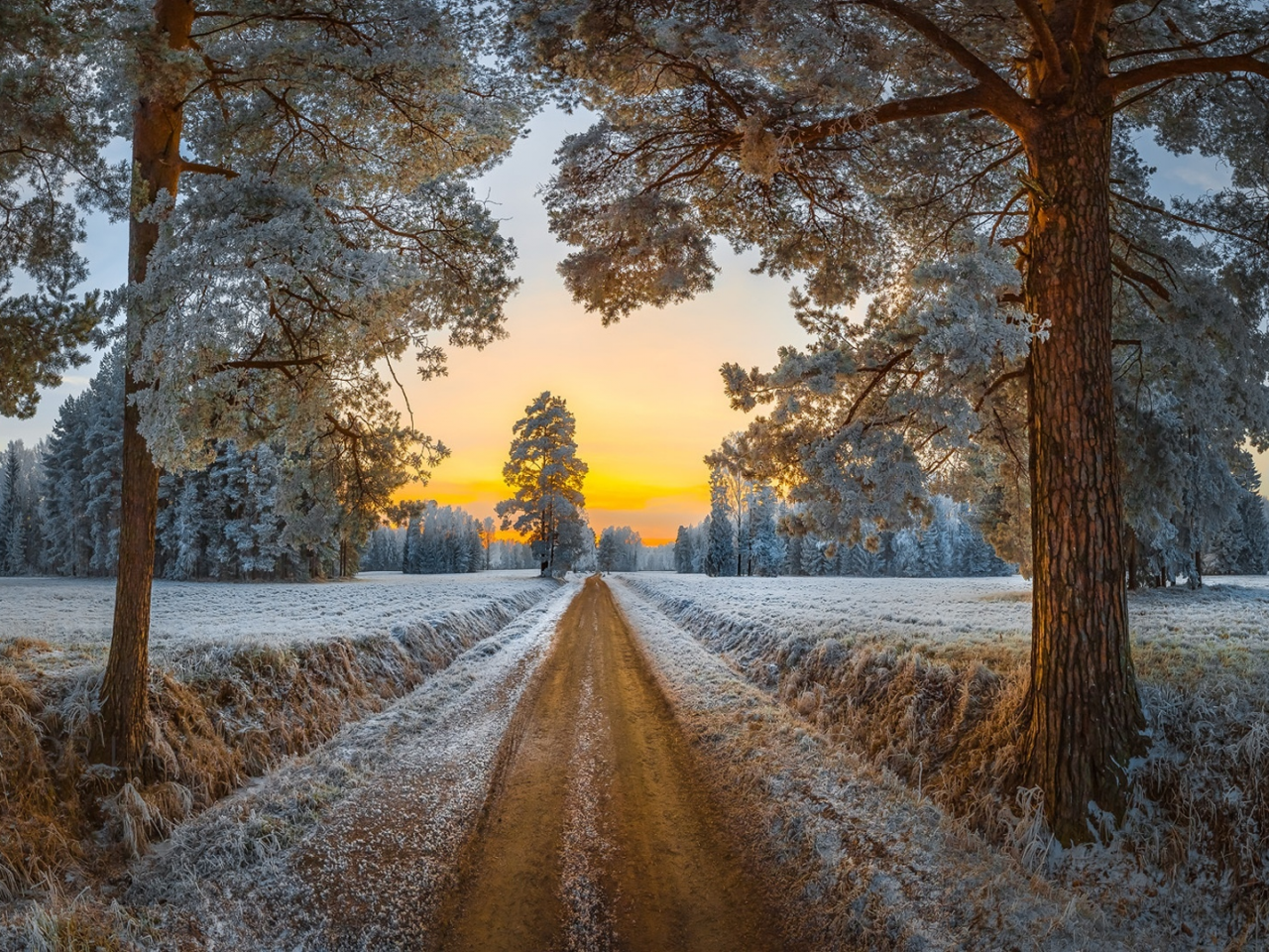 павловск, дорога