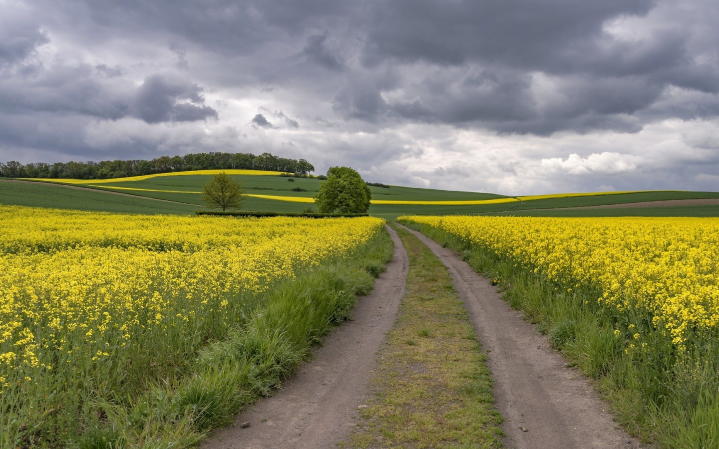 пейзаж, природа, красота