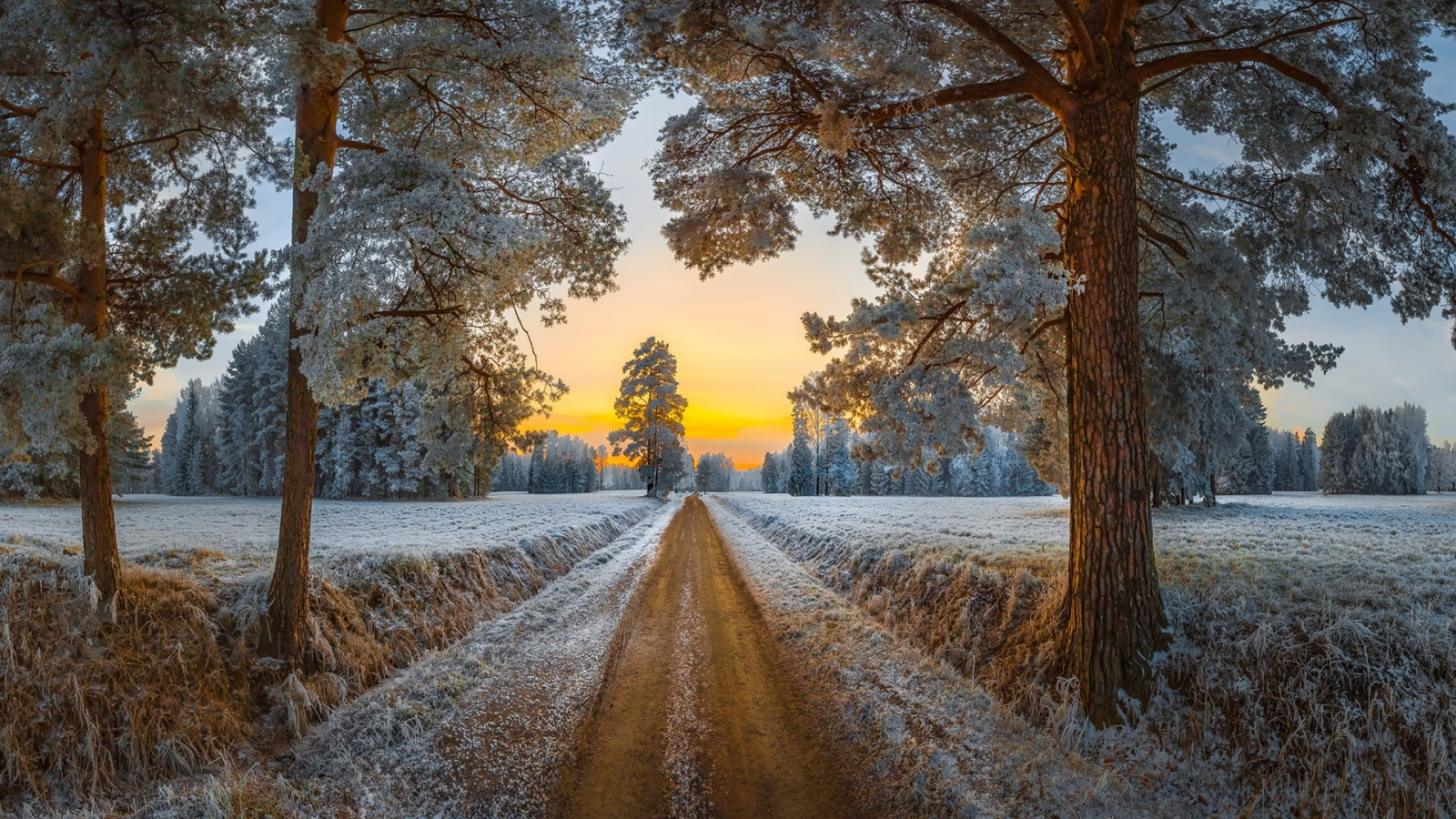 павловск, дорога