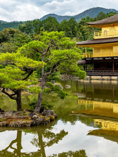 киото, парк, озеро, лес, япония