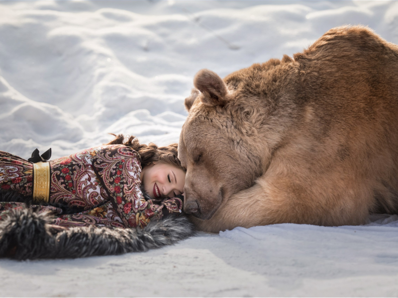 девушка, медведь, снег